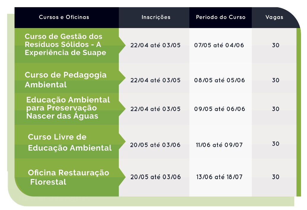 box cursos