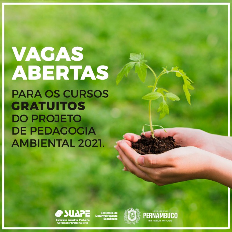 Arte Projeto Pedagogia Ambiental