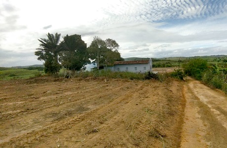 Ximenes 4