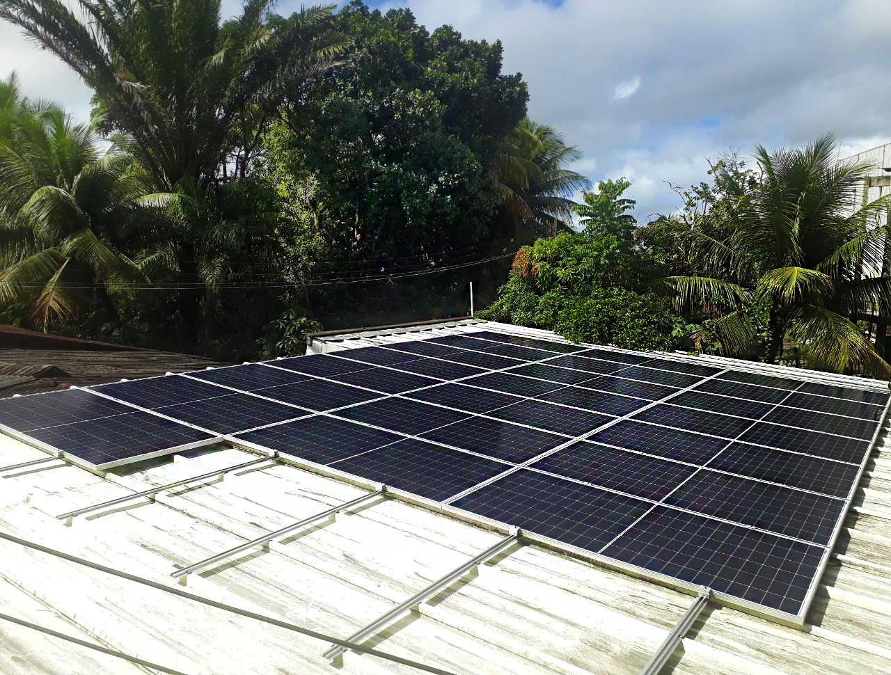 Placas fotovoltaicas ViveiroFlorestal