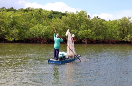 observatorio pesca 1