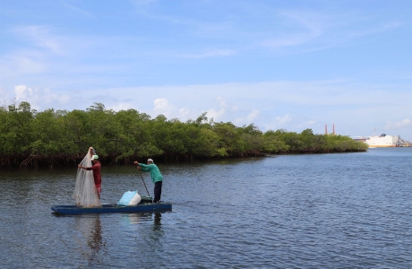 observatorio pesca 2