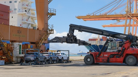 byd1
