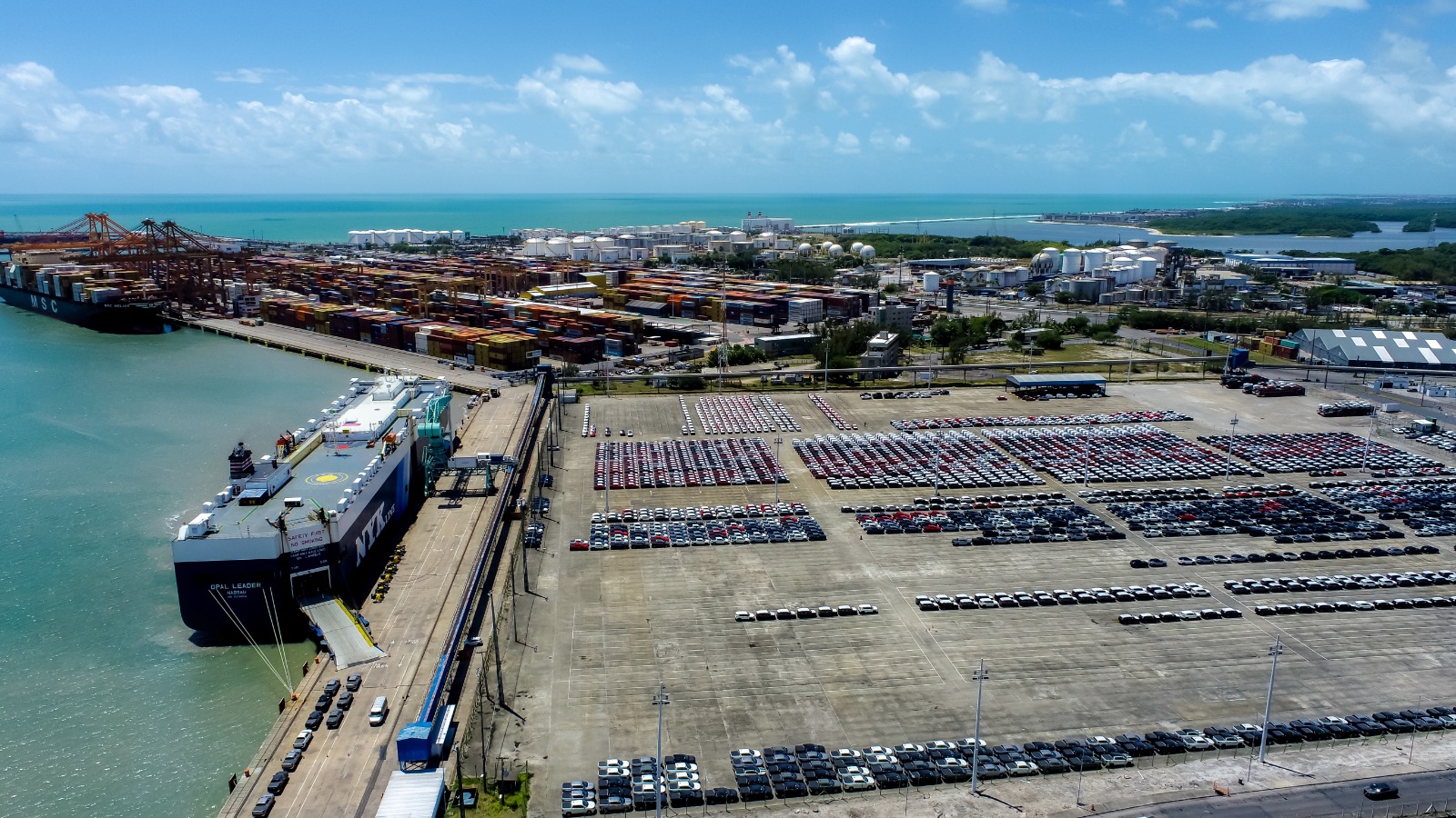 WhatsApp Image 2025 12 08 at 16.04.11