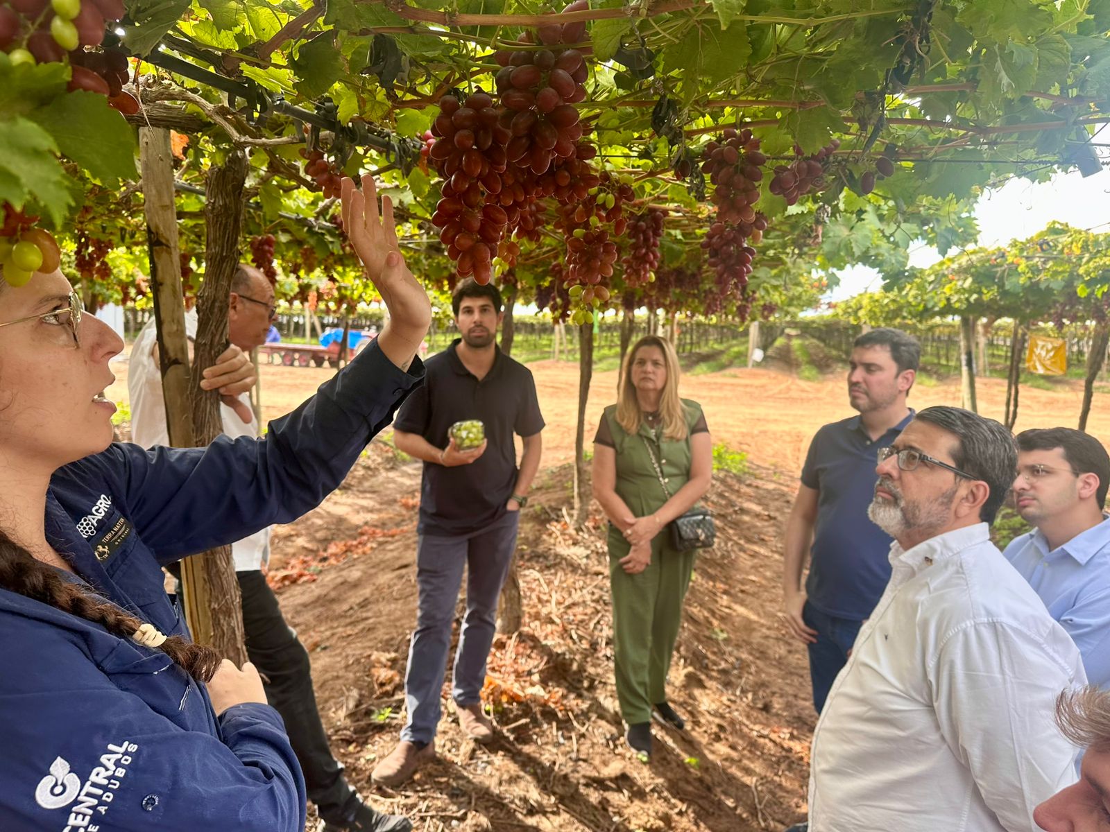 7ee59f53 b7fc 4ddf b31e 2e402c3a13d5