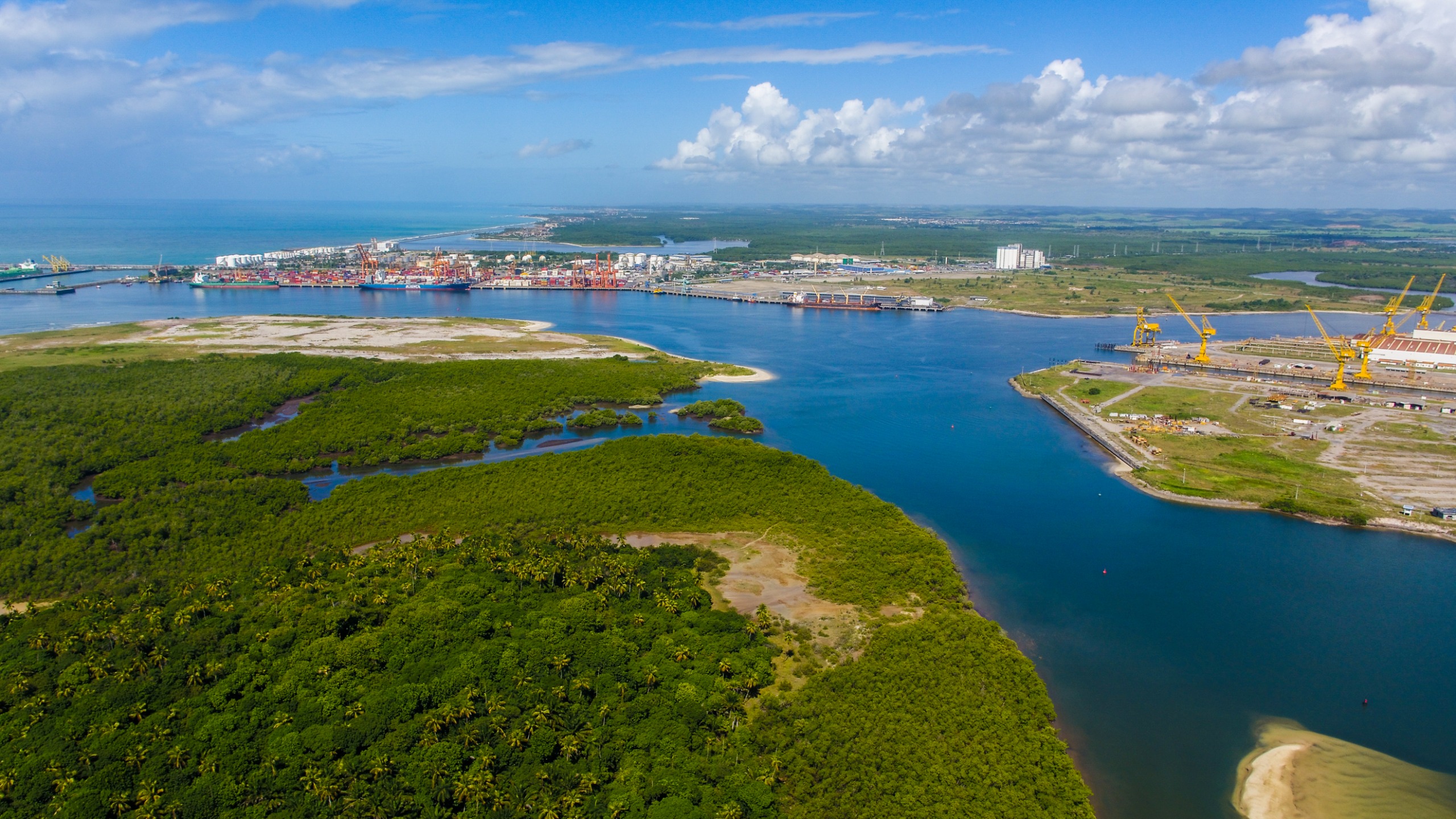 WhatsApp Image 2026 02 11 at 10.16.00